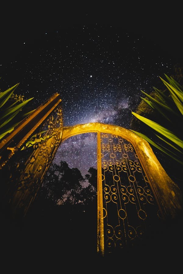 Portails en aluminium fabrication française : élégance et durabilité